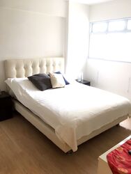 Blk 9 Holland Avenue (Queenstown), HDB 3 Rooms #567766191